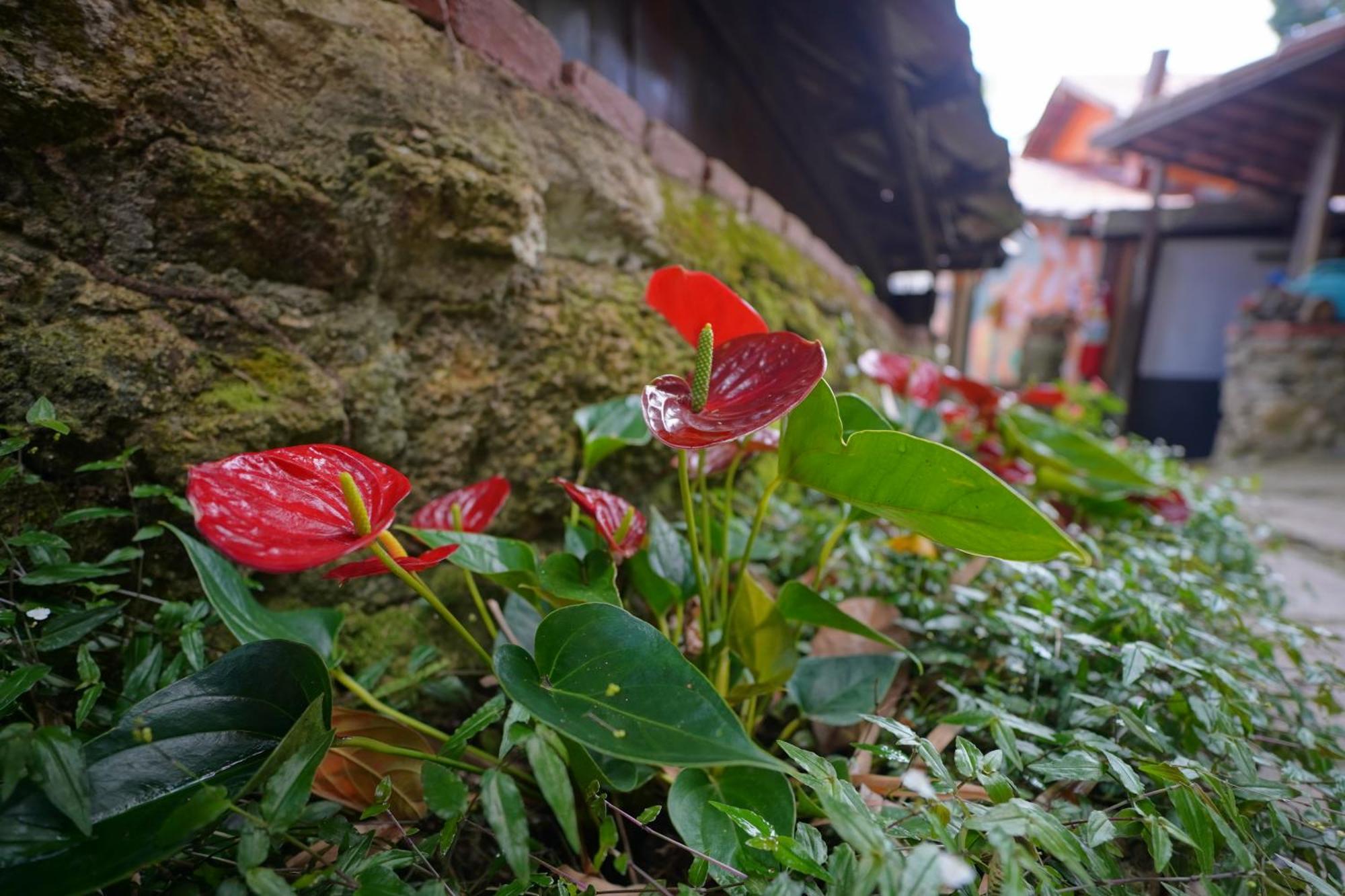 Casa Da Ilha & Spa Vila do Abraao ภายนอก รูปภาพ